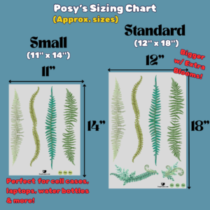 fern decal sizing sheets